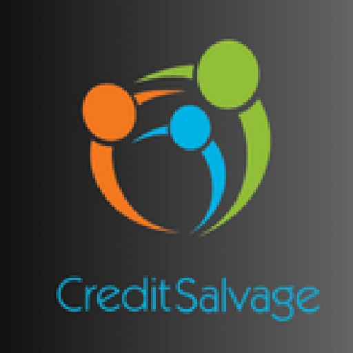 Credit Salvage Logo